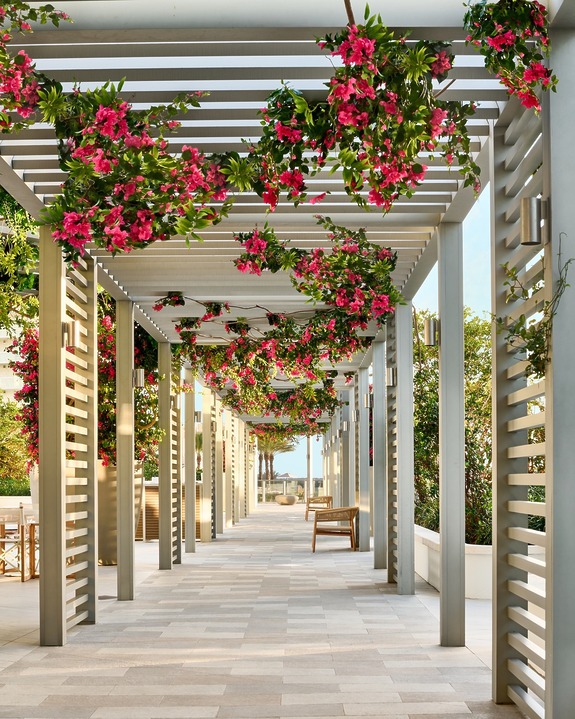 Pergola walkway adorned with vibrant pink flowers, leading to a distant view of the sea on a sunny day.