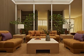 Modern living room with brown sofas, wooden coffee table, plants, and soft lighting.