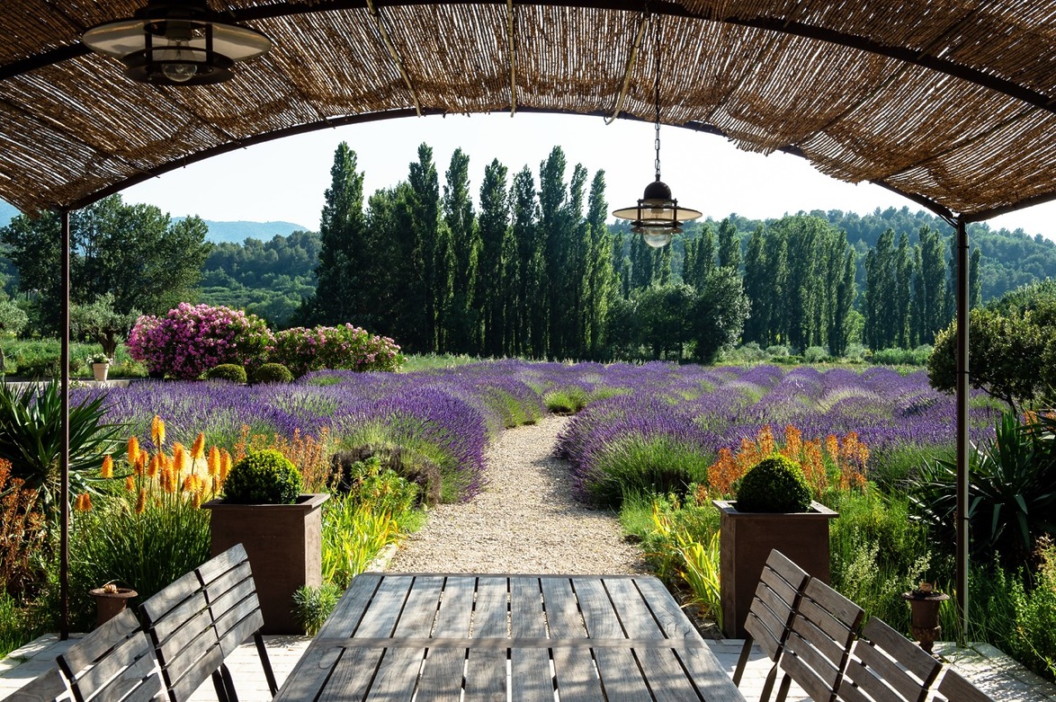 Rustic patio with wooden table overlooking a vibrant lavender field and trees under a sunny sky.