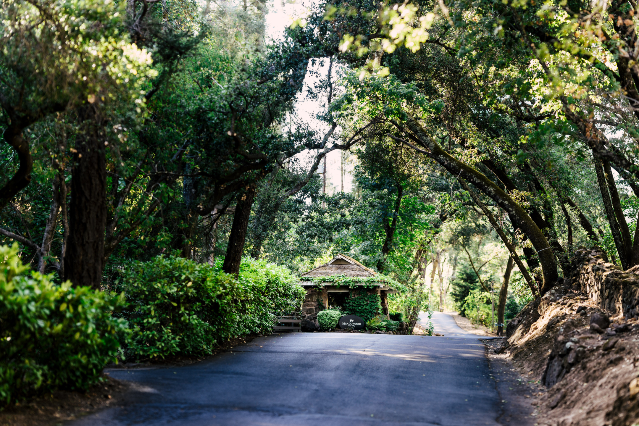 A scenic wooded driveway with lush greenery and a rustic stone hut in the background.