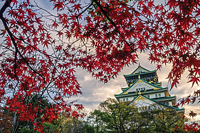 Osaka Castle framed by vibrant red autumn leaves against a cloudy sky.