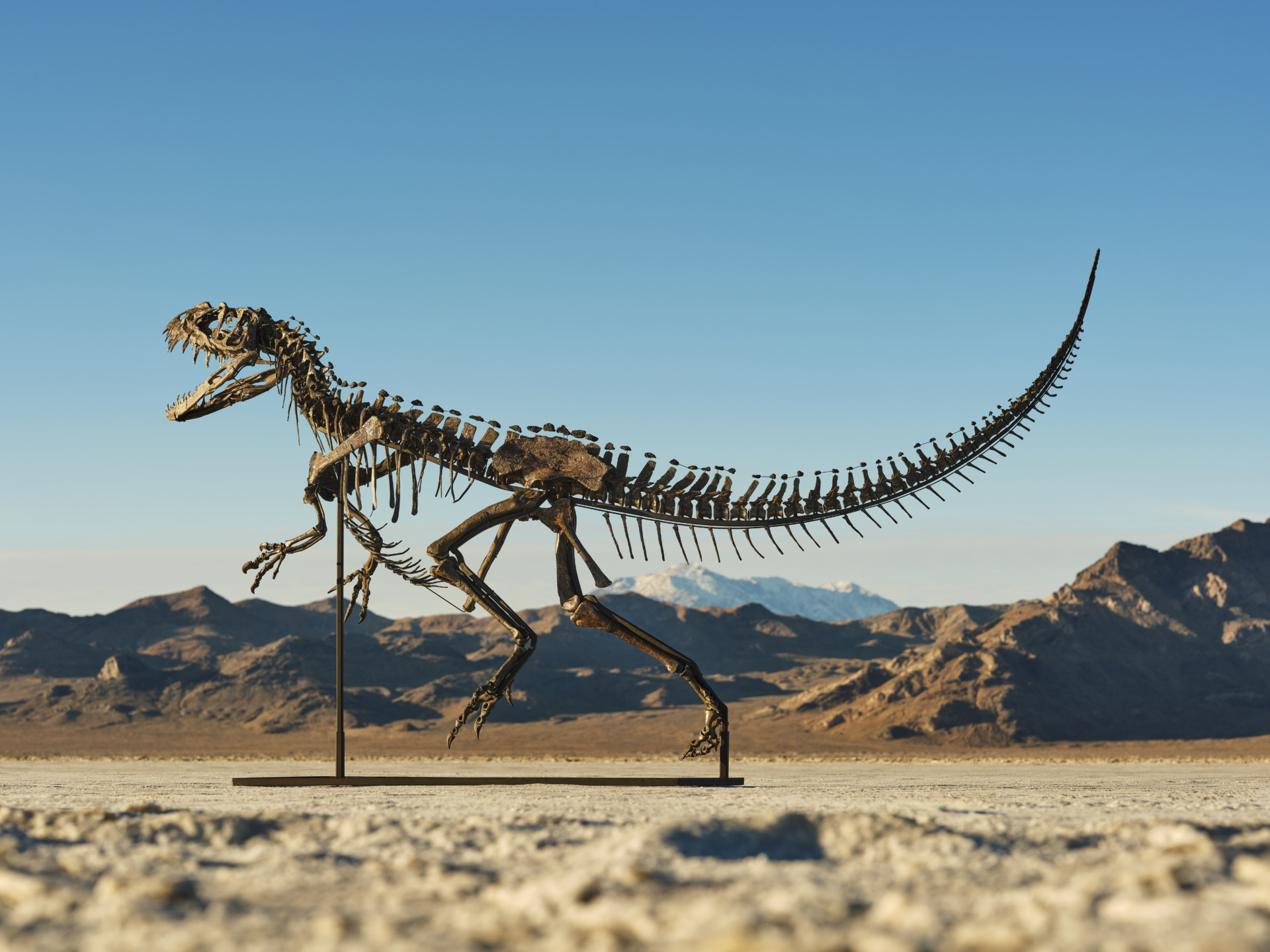 Dinosaur skeleton on display in a desert landscape with mountains and clear blue sky in the background.