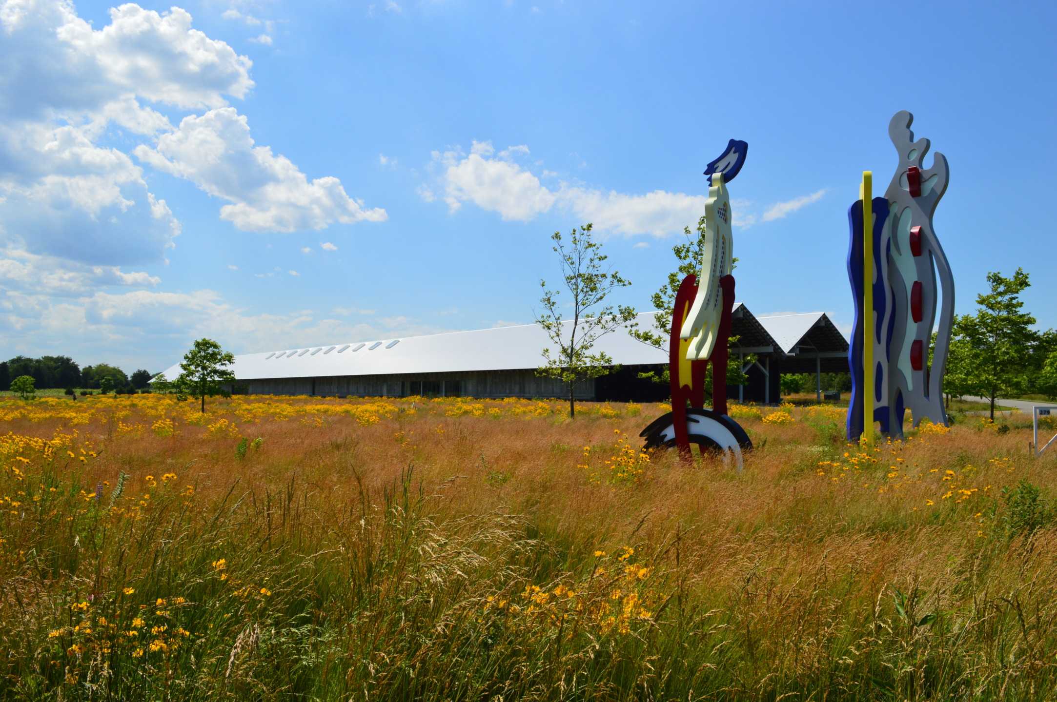 Outdoor art installation with colorful sculptures in a field of wildflowers under a bright, cloudy sky.