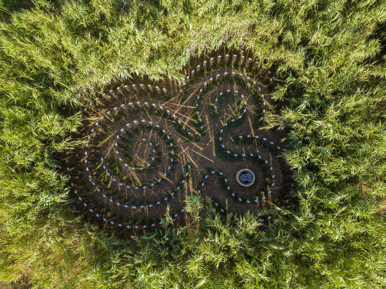 Aerial view of intricate green maze in tall grass, depicting a complex geometric pattern with a central circular feature.