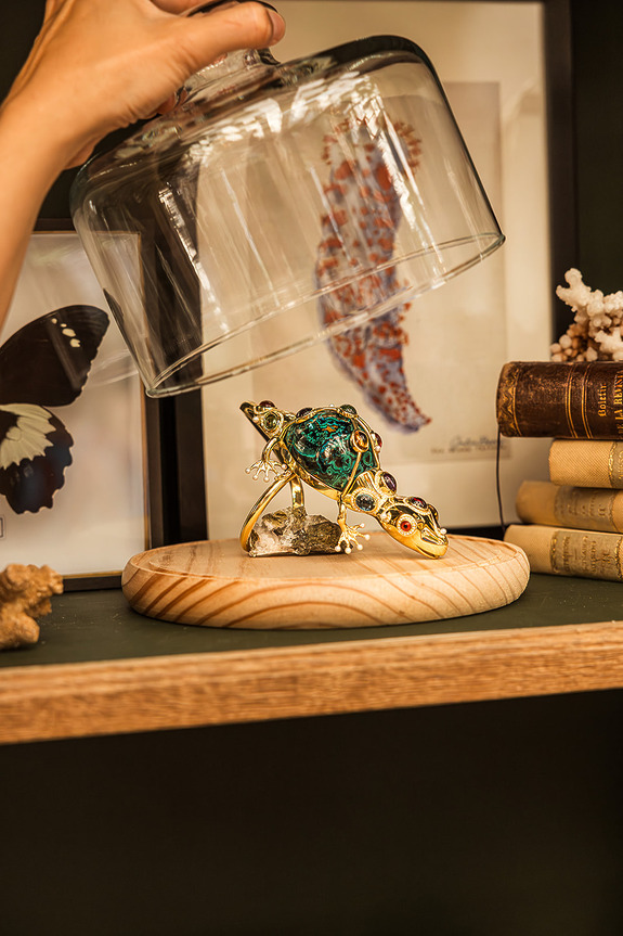 Decorative jeweled lizard under glass dome on wooden shelf with books and butterfly art in the background