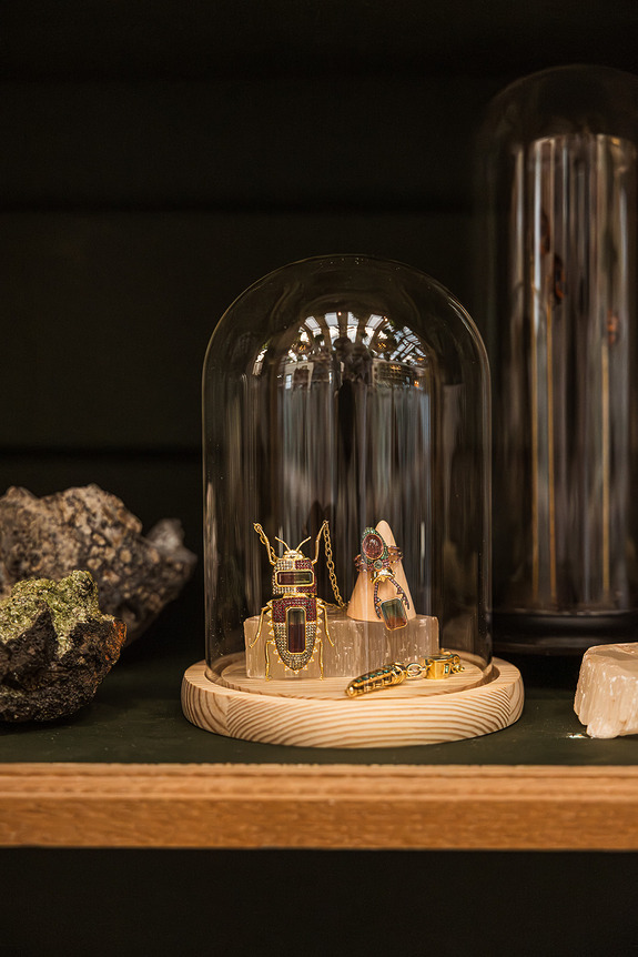 Decorative beetle jewelry displayed under a glass dome on a wooden shelf, surrounded by rocks and crystals.