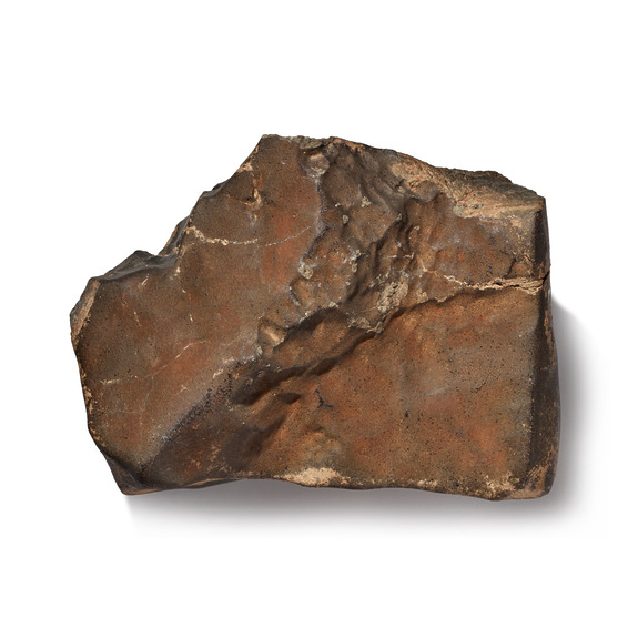 Rough brown rock with uneven surface and jagged edges against a white background