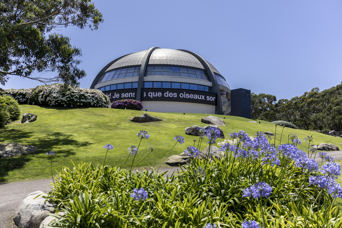 Dome-shaped building on a grassy hill with purple flowers in the foreground under a clear blue sky.