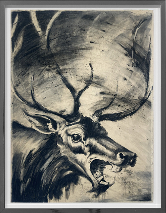 Charcoal illustration of a roaring stag with prominent antlers in a dynamic, swirling background.