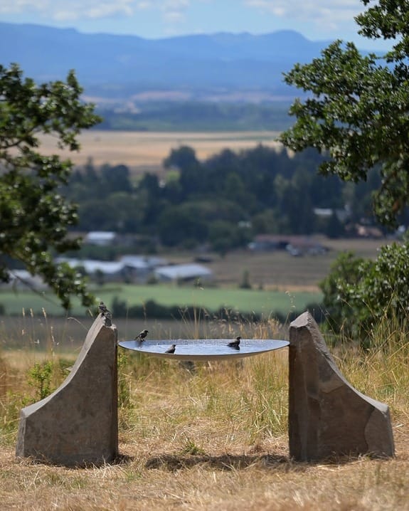 Birds perched on a stone birdbath set in a grassy field overlooking a scenic rural landscape with distant mountains.