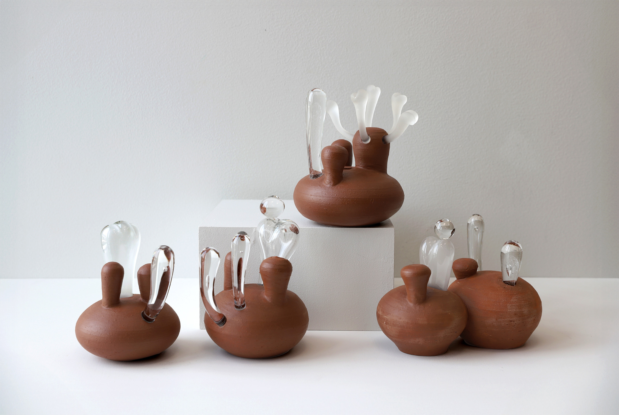 Collection of abstract brown clay sculptures with clear glass elements on a white surface and background.