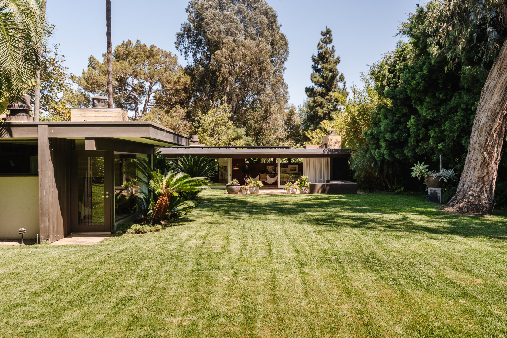 Mid-century modern house with large glass windows, surrounded by green lawn and tall trees on a sunny day.