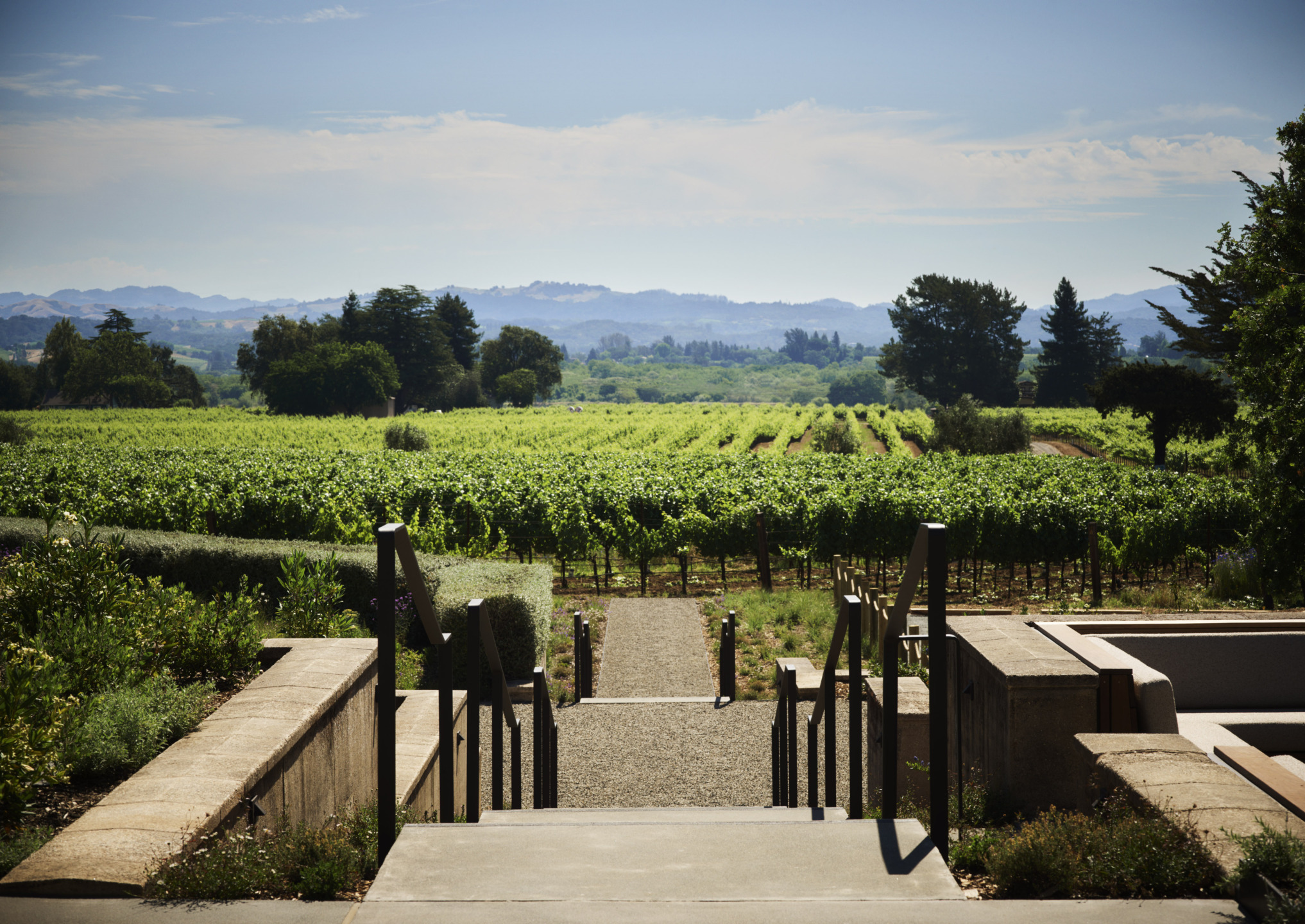 Stairs leading to a lush green vineyard under a clear blue sky with distant mountains in the background.