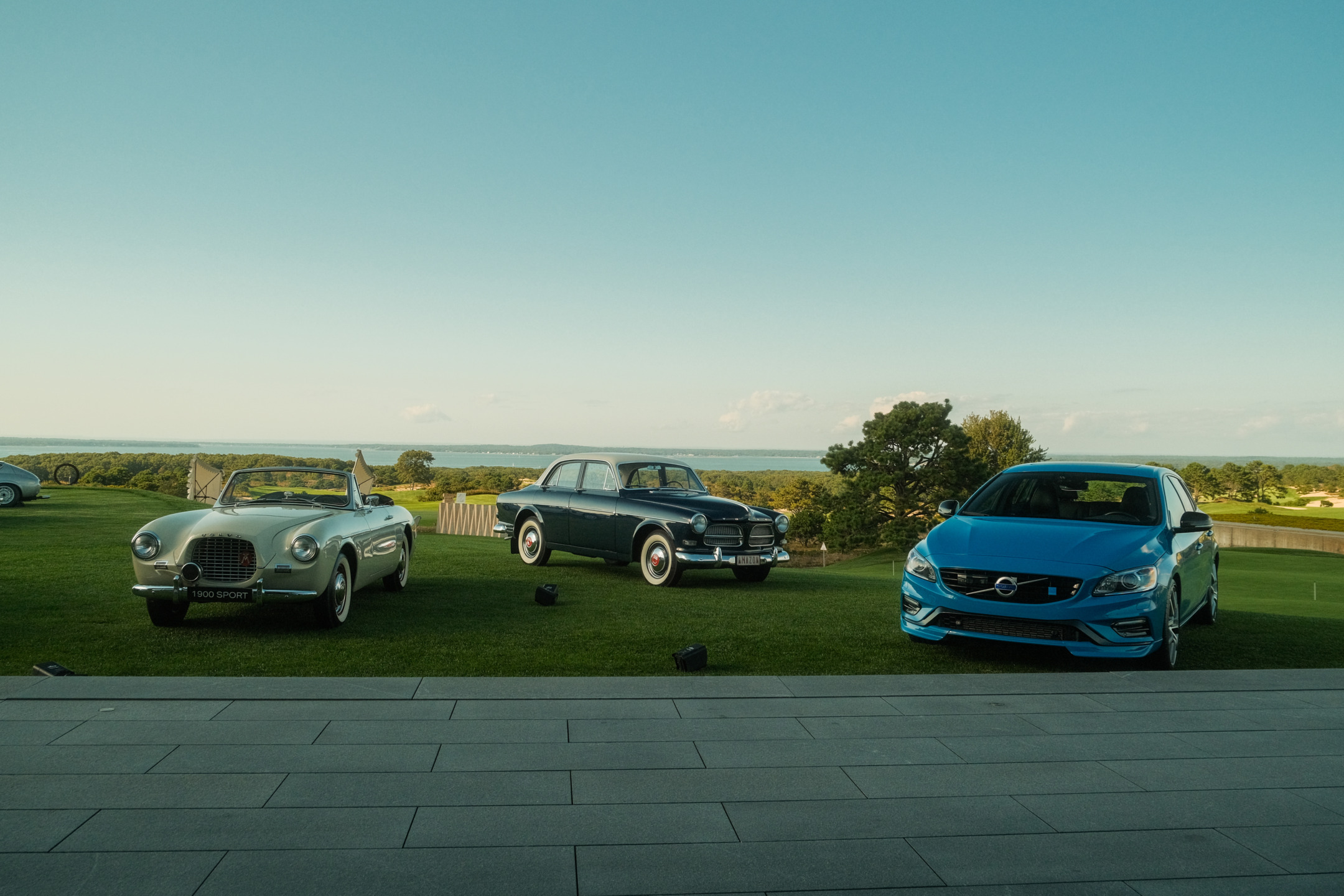 Three vintage and modern cars displayed on a grassy lawn with a scenic background of trees and sky.