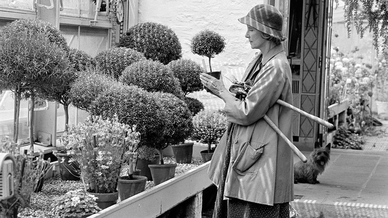 Woman in a hat shopping for potted plants in an outdoor garden center, carrying a potted plant and gardening tools.