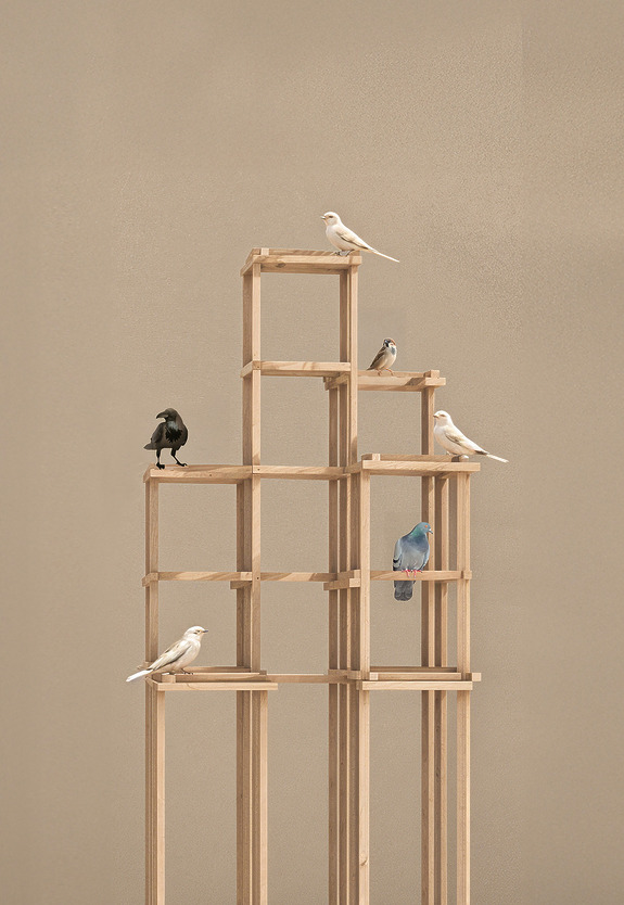 Wooden structure with eight birds perched on different levels against a neutral background.