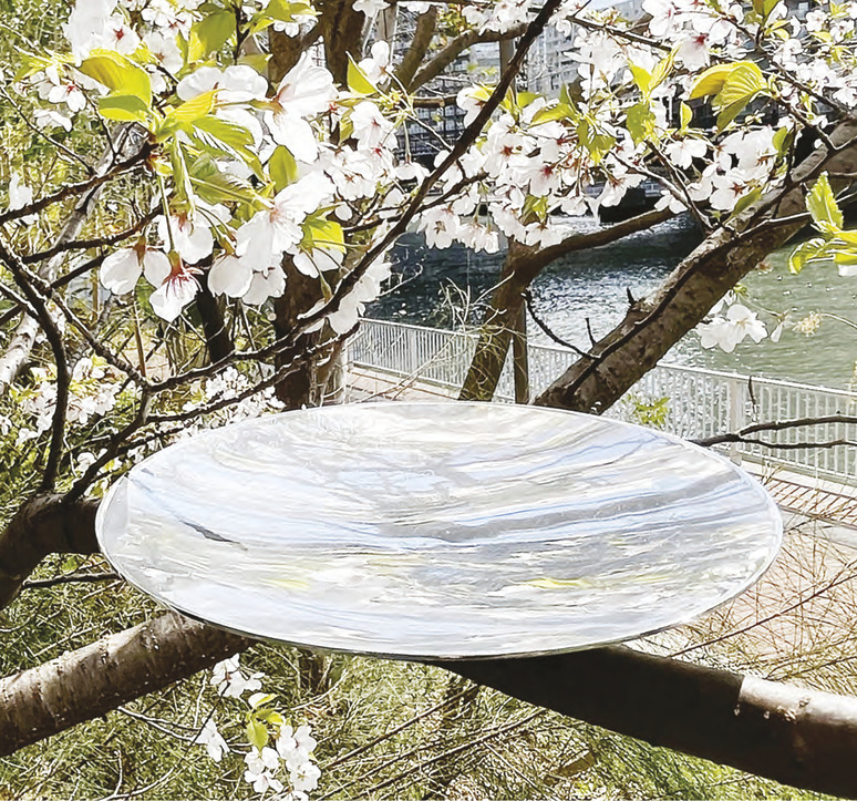 Transparent, round mirror on tree branches with white blossoms in a scenic outdoor setting.