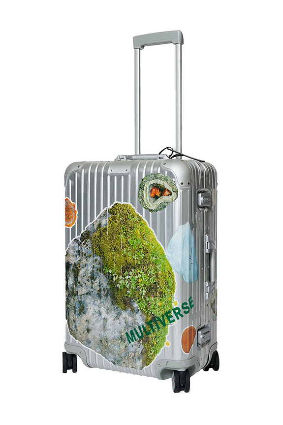 Silver suitcase with multiverse-themed design featuring rocks and moss artwork, four wheels, and a telescopic handle.