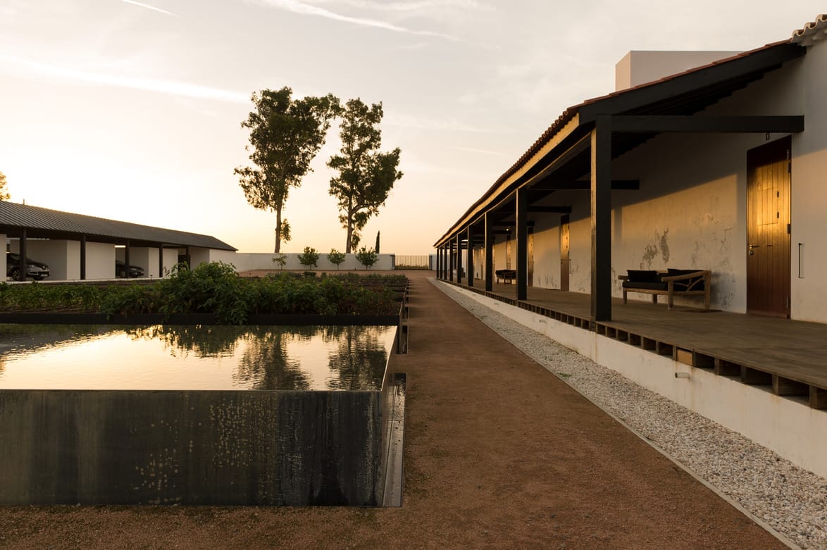 Sunset view of a modern building with a reflecting pool, surrounded by trees and a gravel pathway.