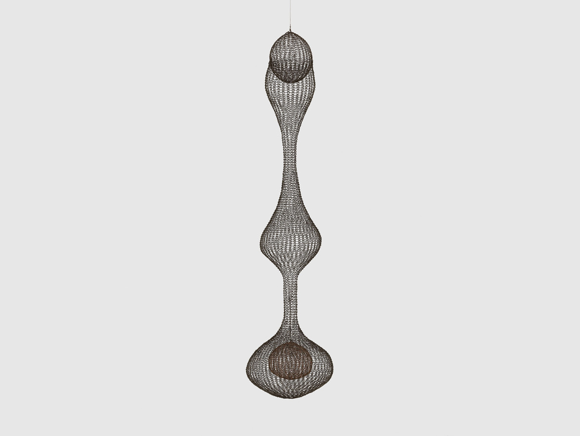 Wire mesh sculpture with elongated, organic shapes suspended against a plain background.