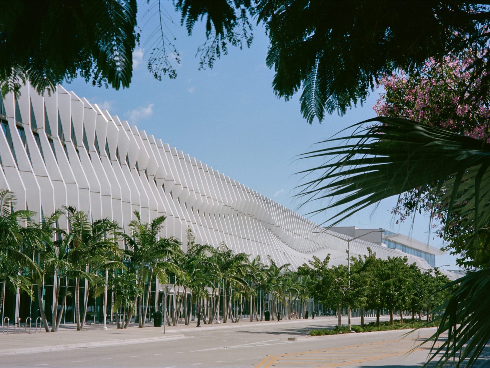 Modern building with unique architectural design surrounded by palm trees under a clear blue sky