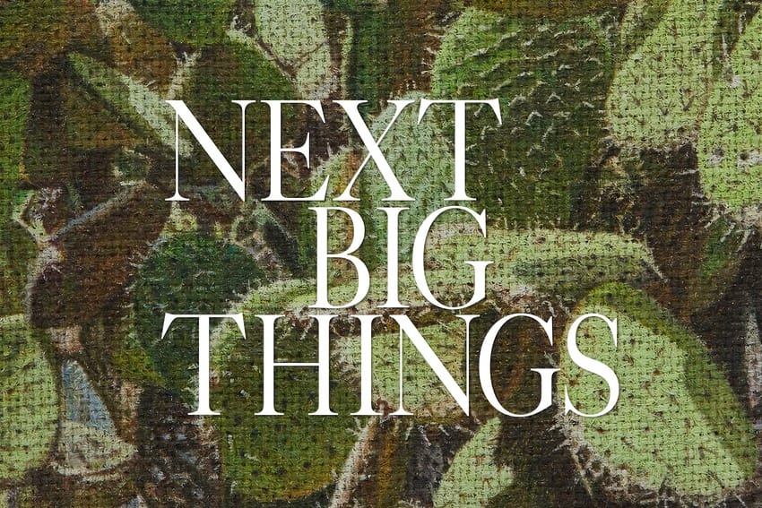 Stylized text "NEXT BIG THINGS" overlaid on a textured background of green cactus plants.