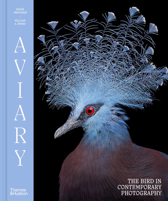 Close-up of a bird with striking blue plumage and intricate feather patterns, featured on the cover of "Aviary" photography book.