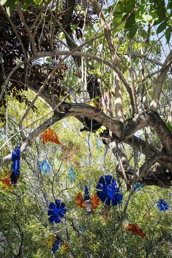 Colorful glass ornaments hanging on tree branches amid lush green foliage in a sunlit outdoor setting.