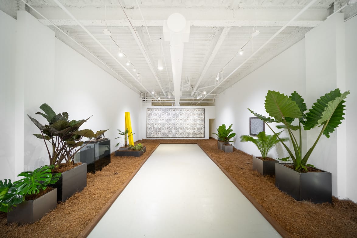 Art installation with large green plants lining a white corridor, leading to a wall with a patterned artwork display.