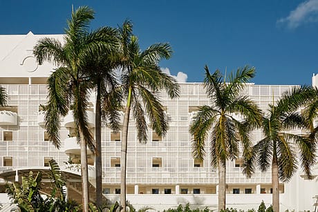 Modern white building with palm trees in front, set against a clear blue sky on a sunny day.