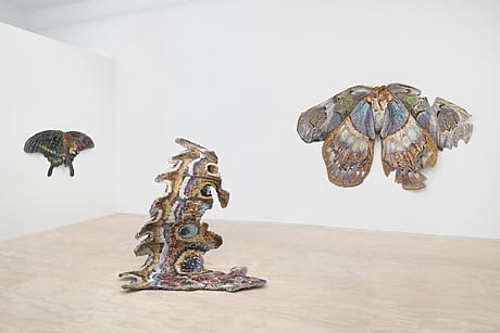 Art installation with colorful, textured moth-like sculptures displayed on gallery walls and floor, emphasizing nature-inspired designs.