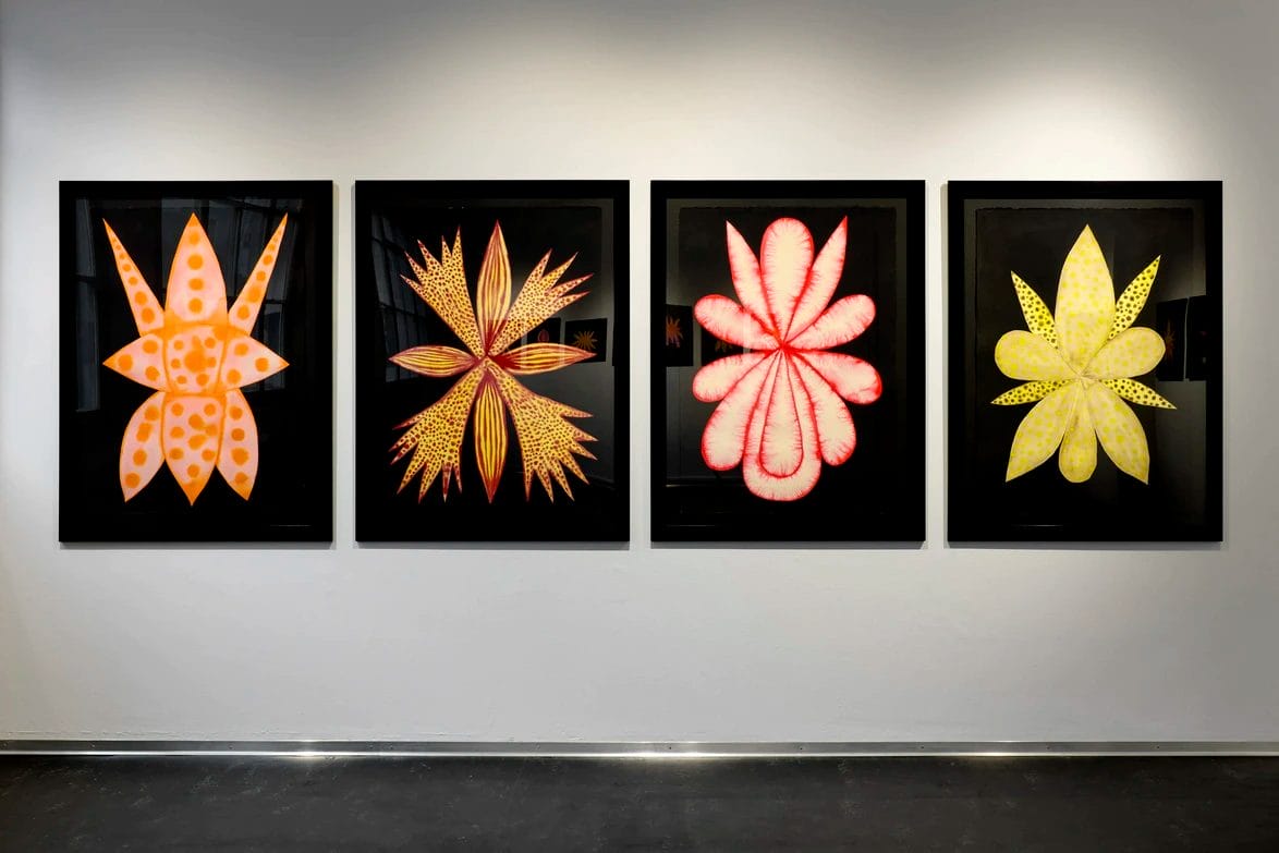 Four framed abstract floral paintings with vibrant colors displayed on a white gallery wall.