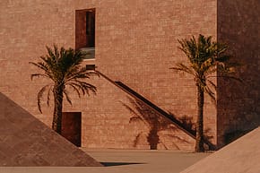 Modern architectural building with warm terracotta tones, tall palm trees casting long shadows on a sunny day