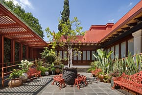 Courtyard with red benches, potted plants, and a prominent tree, surrounded by vibrant red walls under a clear blue sky.