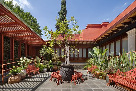 Courtyard with red benches, potted plants, and a prominent tree, surrounded by vibrant red walls under a clear blue sky.
