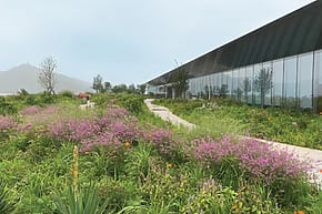 Modern building with glass facade surrounded by a lush garden filled with purple and orange wildflowers under a cloudy sky