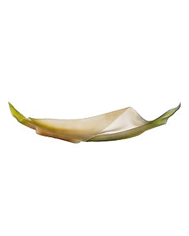Abstract green and beige sculpture resembling a leaf on a white background.