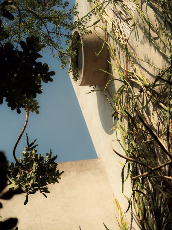 Modern building facade with round window and cascading green plants against a clear blue sky background