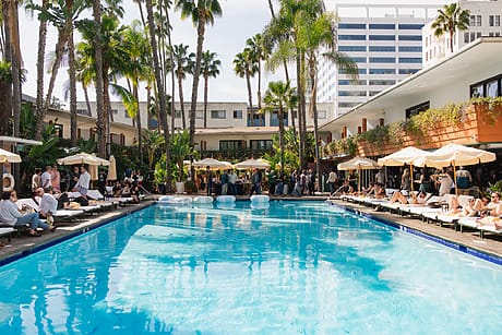 Outdoor pool area surrounded by palm trees and lounge chairs with people relaxing under umbrellas.