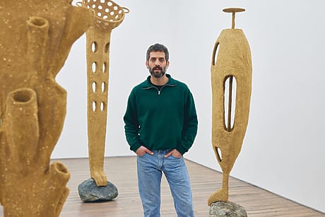 Man standing in an art gallery surrounded by abstract sculptures with earthy tones.