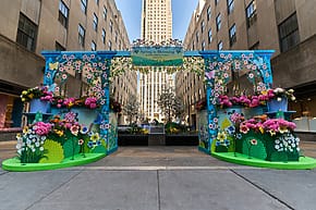 Colorful floral display with "Spring is Blooming" sign set in a bustling city plaza with tall buildings in the background.