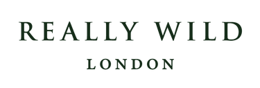 Really Wild London logo in dark green capital letters on a transparent background
