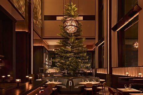 Elegant restaurant interior with a large indoor tree, warm lighting, and tables set for dining.