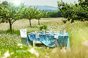 Outdoor dining table set in a scenic meadow with blue floral tablecloth and surrounding trees.