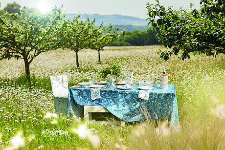 Outdoor dining table set in a scenic meadow with blue floral tablecloth and surrounding trees.