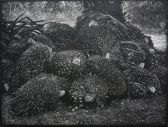 Black and white drawing of harvested palm oil fruit bunches stacked on the ground in a tropical setting.