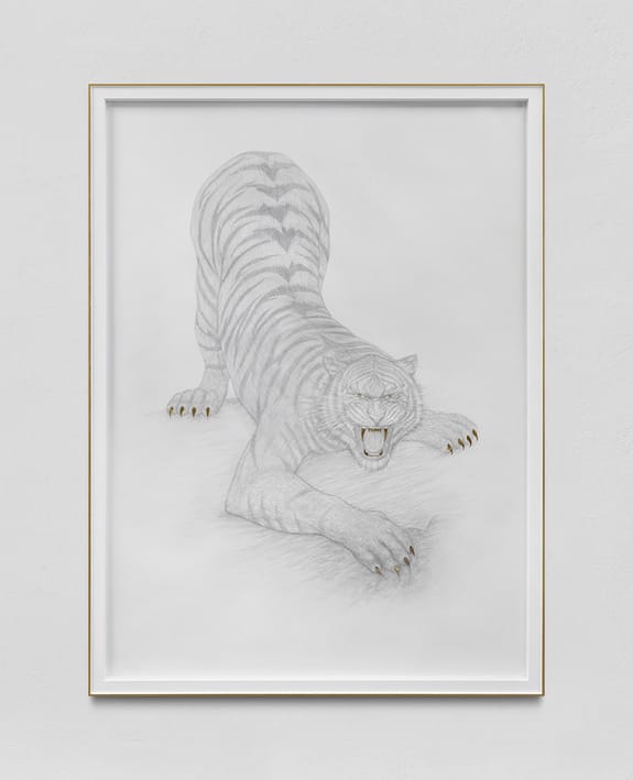 Framed grayscale drawing of a crouching tiger with open mouth and detailed stripes, displayed on a white wall.