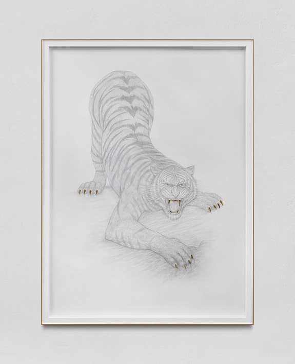 Framed grayscale drawing of a crouching tiger with open mouth and detailed stripes, displayed on a white wall.